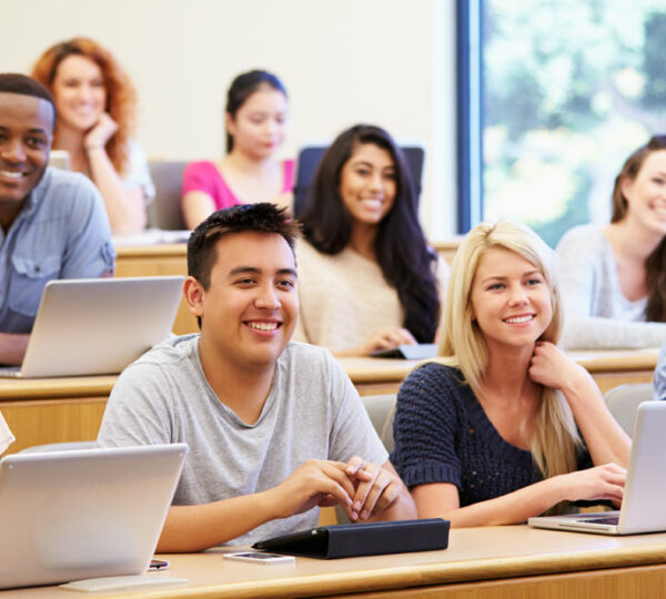 École de commerce en alternance